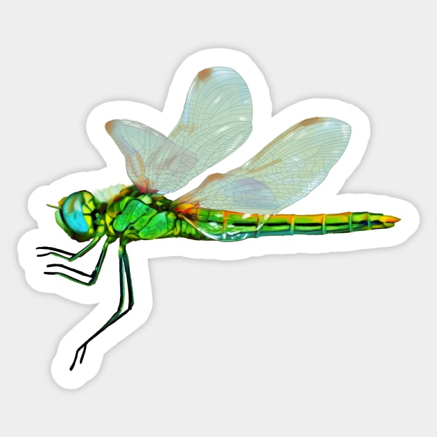 Flying green dragonfly painting. Colourful dragonfly art. Dragonfly gift -  Dragonfly Art - Sticker