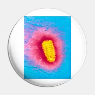 TEM of rabies virus (M050/0056) Pin