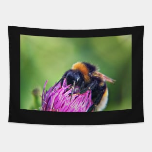 Bee on Thistle Tapestry