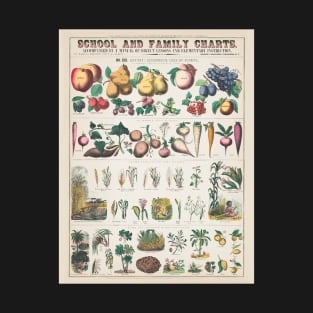 Botanical Fruit and Vegetables Plant Chart T-Shirt