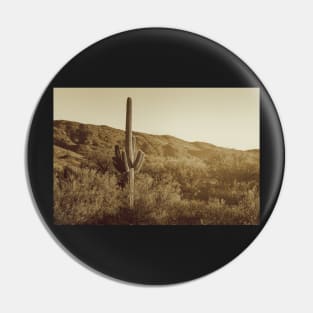 Sonoran Desert in monochrome Pin