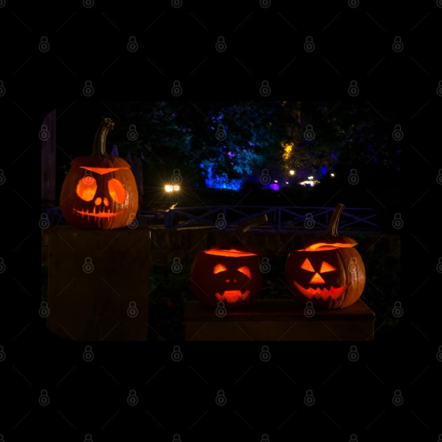 Halloween Pumpkins by ElviraDraat