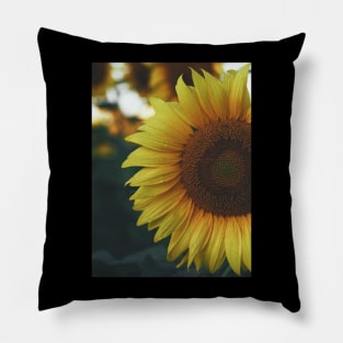 sunflower plant Pillow
