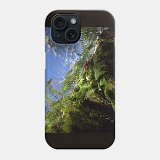 snowy Oregon ferns in trees Phone Case