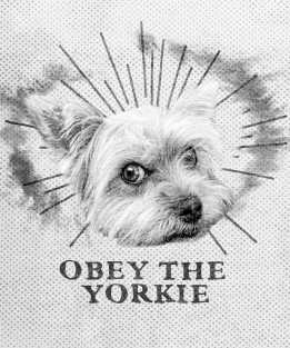 Funny Yorkie Design - Obey The Yorkie Magnet