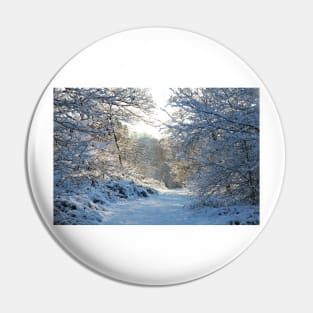 Winter Walk Pin