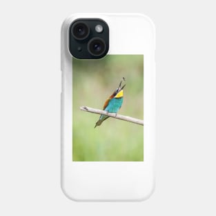 European bee-eater (Merops apiaster) Phone Case