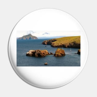 Channel Islands National Park Santa Cruz Island Pin