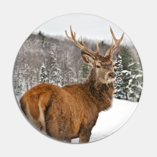 Red Deer Pin by jaydee1400