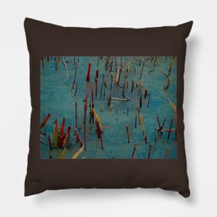 Rainbow cane 3 Pillow