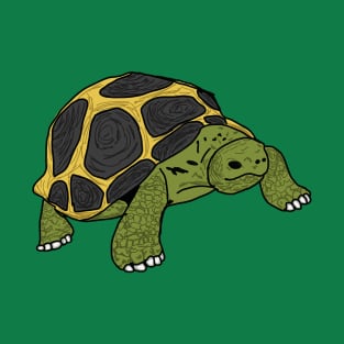 Tortoise T-Shirt