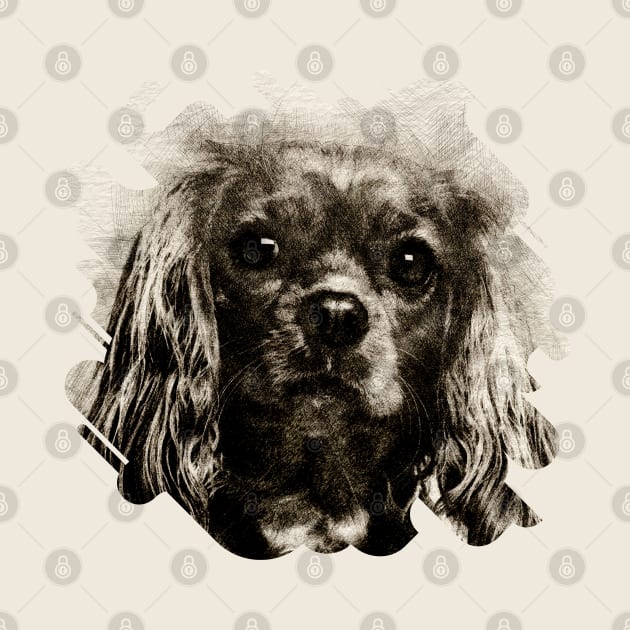 Cavalier King Charles Spaniel by Nartissima