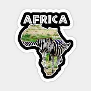 African Wildlife Continent Zebra Stripes Magnet