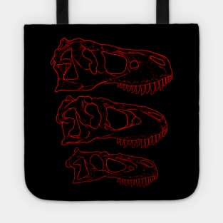 Daspletosaurus Tarbosaurus Tyrannosaurus Rex fossil skulls Tote