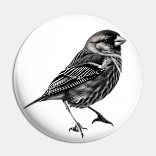 Finch Drawing in Black and White - Monochrome Drawing Bird Pin