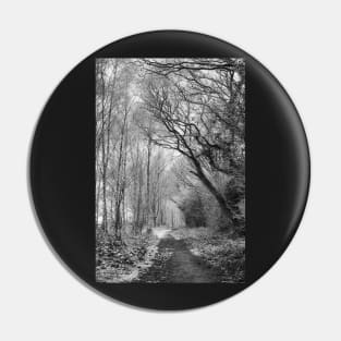 Winter forest pathway - Photographic Print Black and White Pin