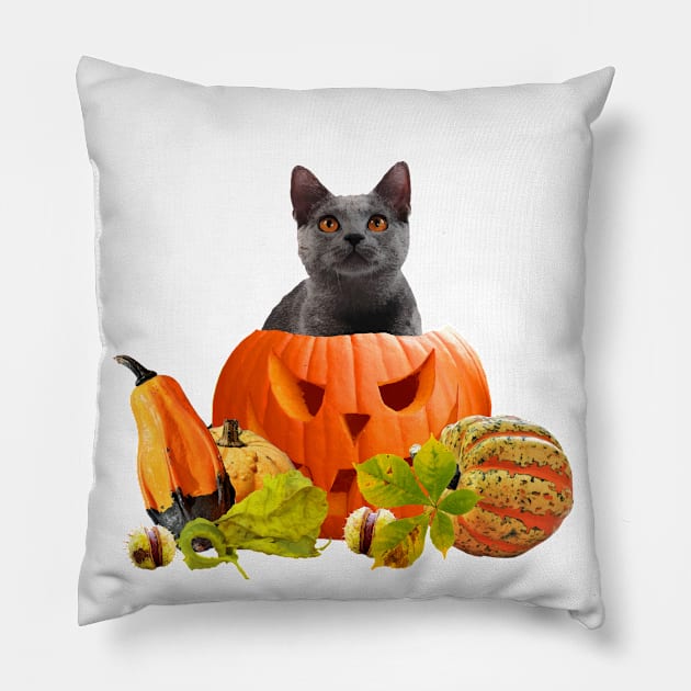 happy halloween pumpkin grey cat Pillow by Move-Art