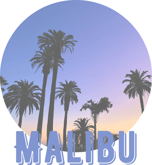 Malibu Kids T-Shirt by Myartstor 