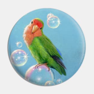 Bubbles, the Peach Faced Lovebird on Bubbles Pin