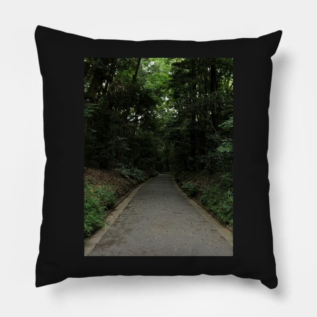 The path Pillow by DarkAngel1200