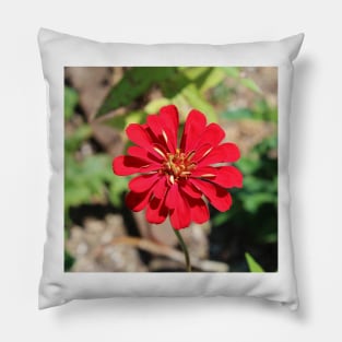 Single Red Flower Pillow