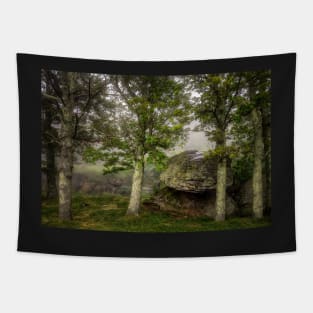 Trees and rocks in fog, Blue Ridge Mountains, Virginia, USA Tapestry