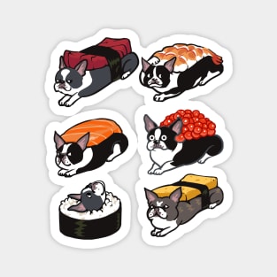 Sushi  Boston Terrier Magnet