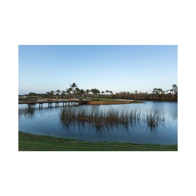 Blue hour on a golf course by josefpittner