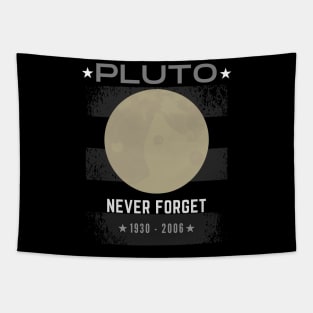 Never Forget Pluto Retro Space Science Graphic Tapestry