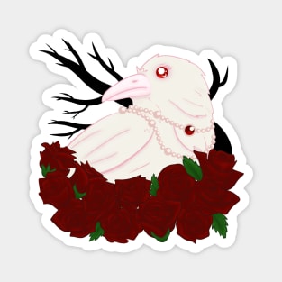 Albino Raven Magnet