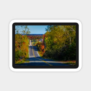 Country Road in Autumn Magnet