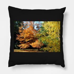 Argentine - San Carlos de Bariloche Pillow