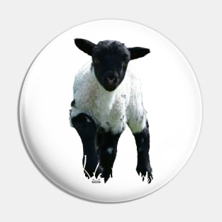 Lamb / Swiss Artwork Photography Pin