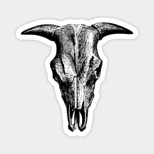 Vintage Animal Skull | Bull Skull | Steer Skull | Cow Skull | Sheep Skull | Horned Skull | Magnet