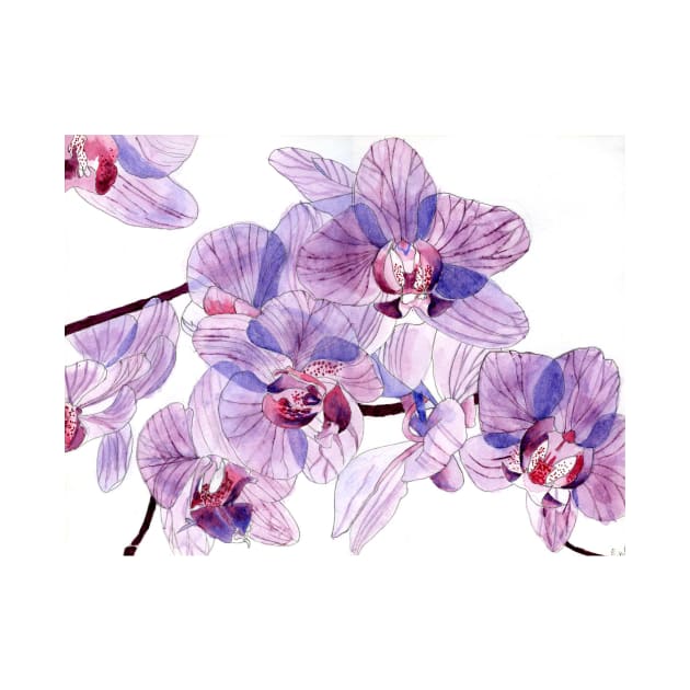 Original Watercolour painting of Pink and Lilac Orchids by esvb