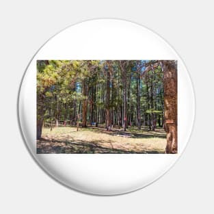 Magdalene Woods Walk - Contemplative Walk Pin