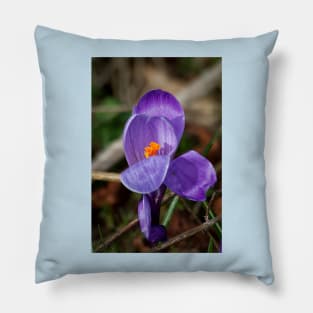 Wild crocus Pillow