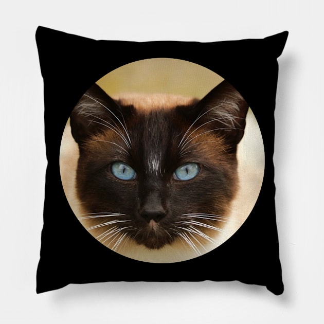 meow kitty cat kat kittens kitten meow cute cats Pillow by FromBerlinGift