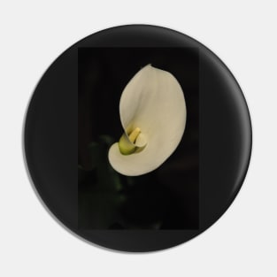 White Calla Lily Pin