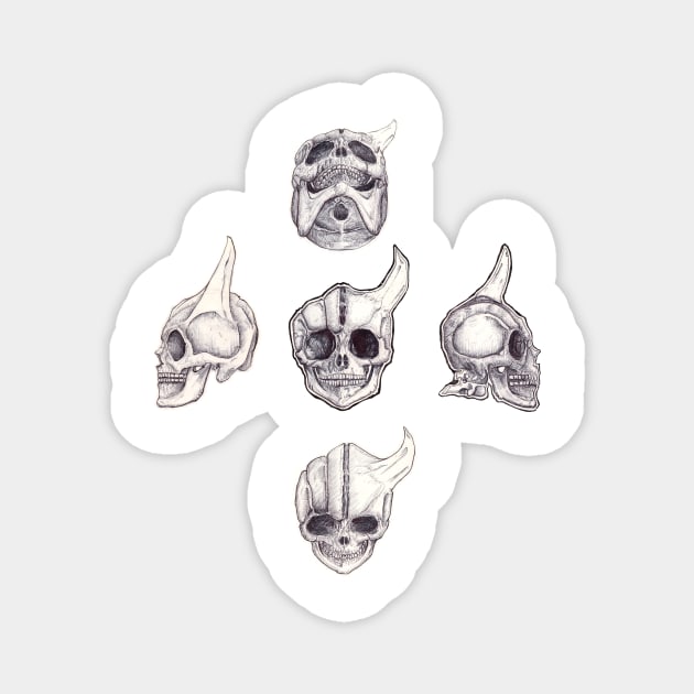 Skull study Magnet by AlexMada