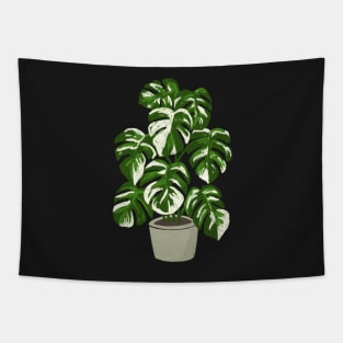 Monstera borsigiana variegated plant with fenestrations Tapestry