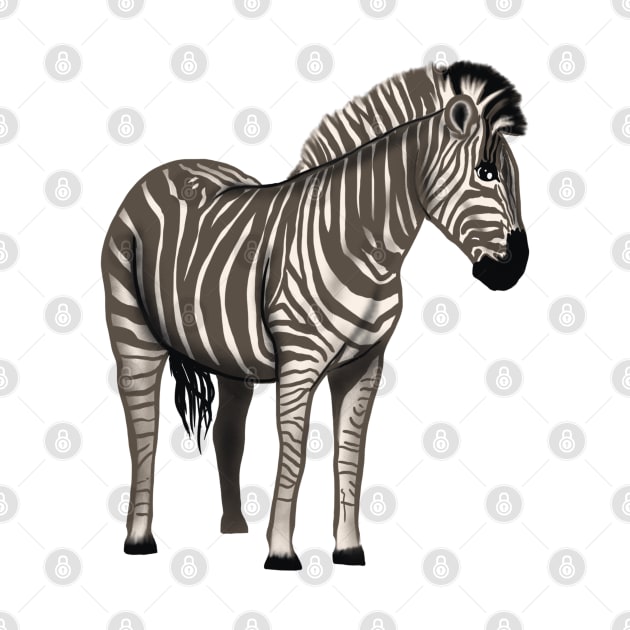 Zebra by TigrArt