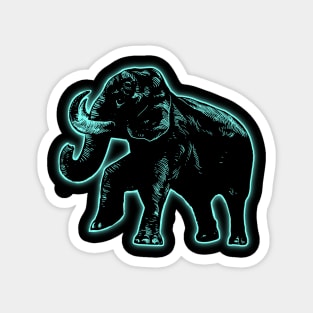 Elephant Light4 Magnet