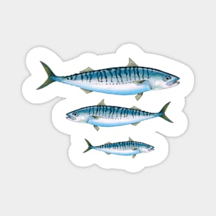 Three Mackerel Magnet