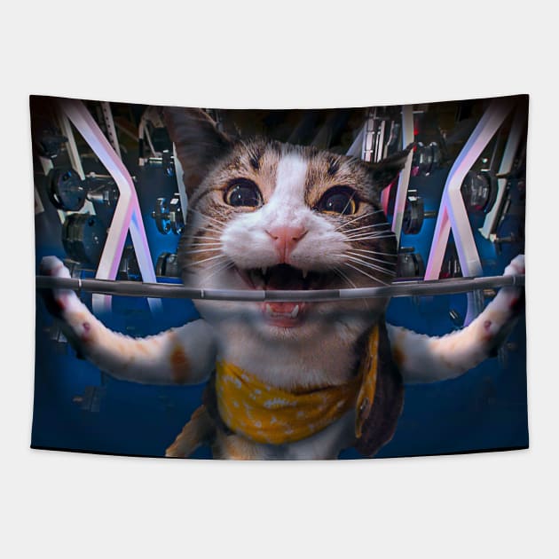 Funny Cat Lifting Weights At Gym Tapestry by Random Galaxy