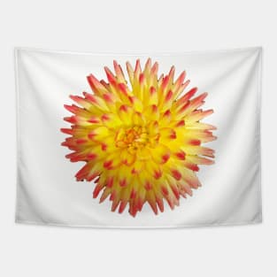 Yellow and Pink Spiky Flower Photo Tapestry