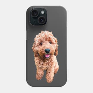 Cockapoo Cavapoo Labradoodle Goldendoodle Doodles Phone Case