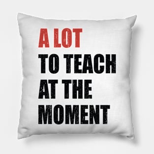 A Lot To Teach At The Moment Pillow