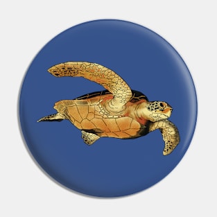 Hawksbill Turtle Pin