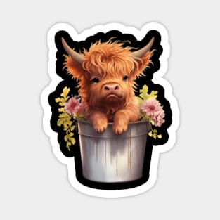 Image Of A Lovely Miniature Scottish Cow Magnet